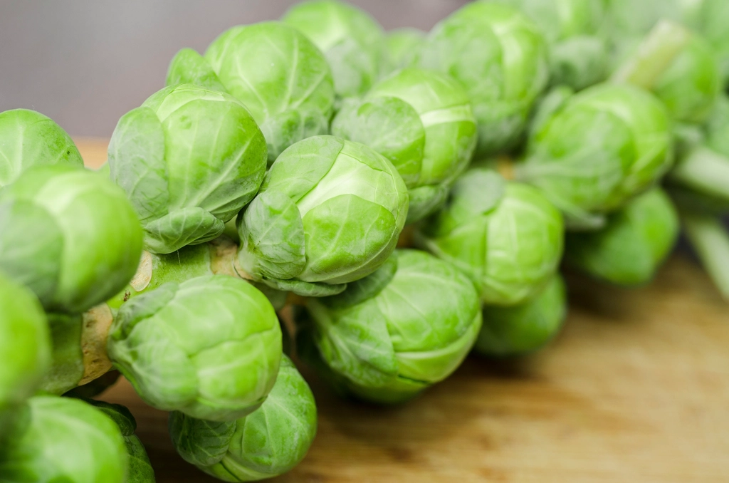 Brussels Sprouts: Little Gems of Vitamin C (image credits: rawpixel)