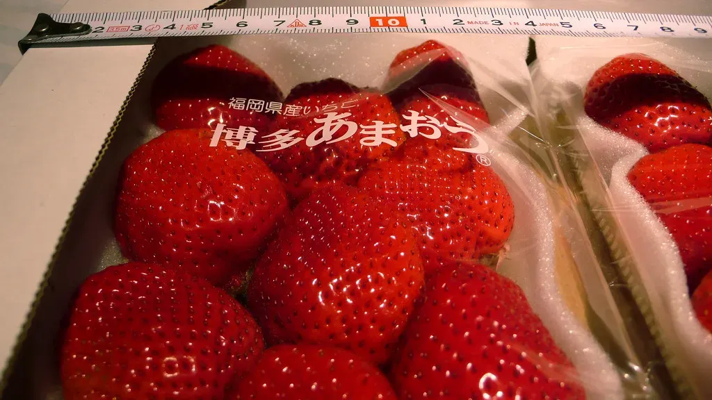 Luxury Japanese Strawberries: Fruit with a Designer Price Tag (Image Credits: Flickr)