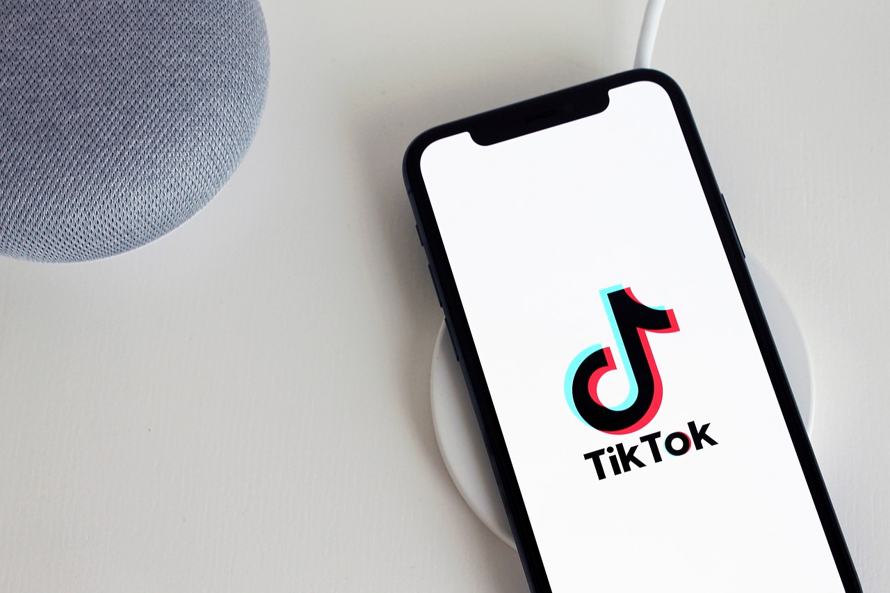 TikTok Trends: Fun or Dangerous? (image credits: pixabay)