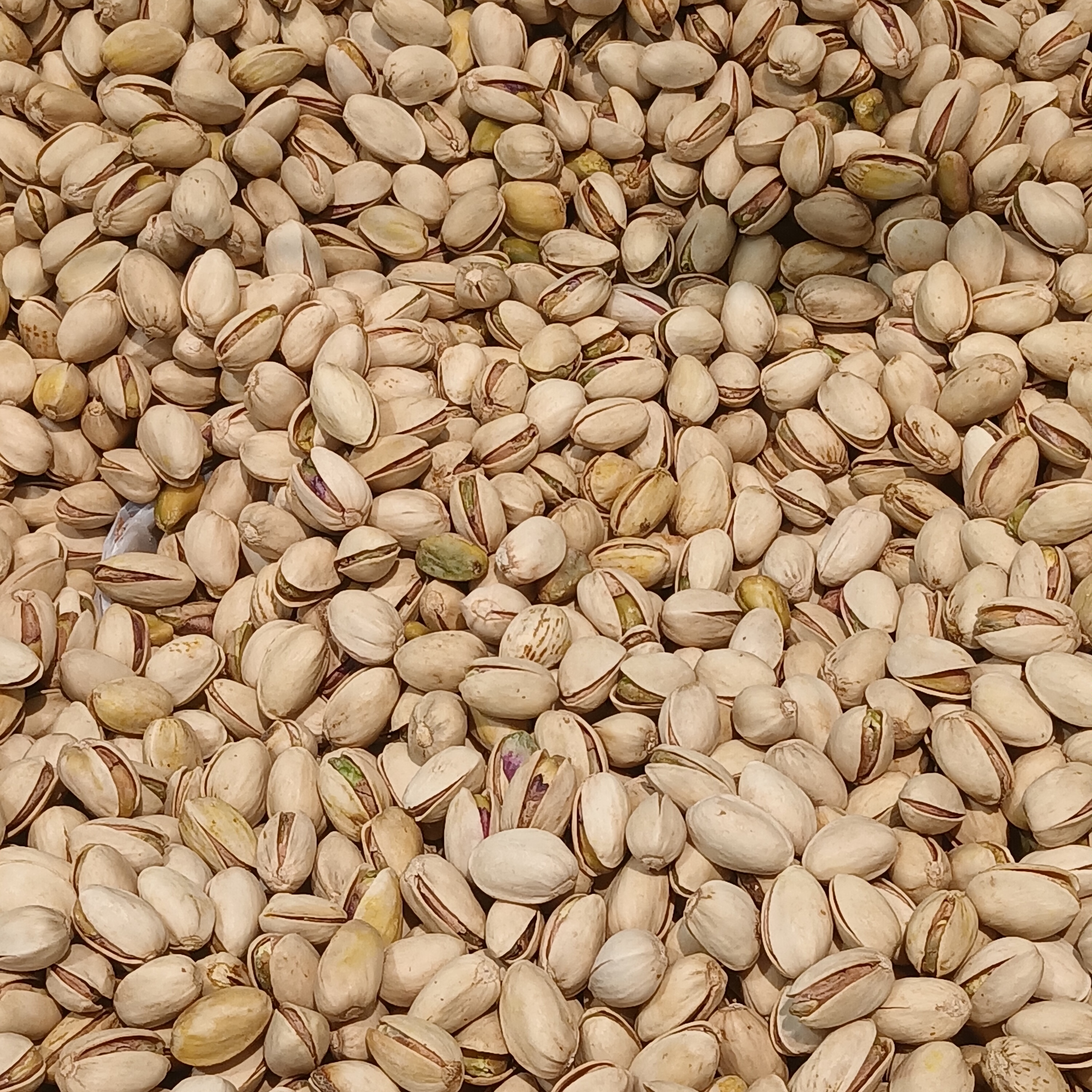 Pistachios (image credits: wikimedia)
