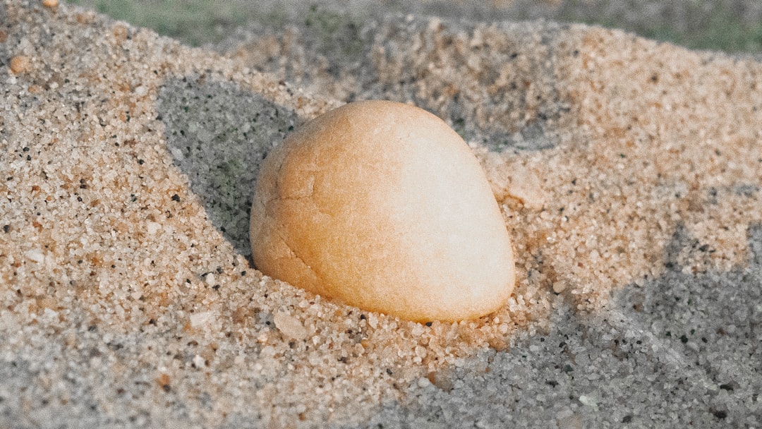 Sand Storage: An Ancient Method That Still Works (image credits: unsplash)