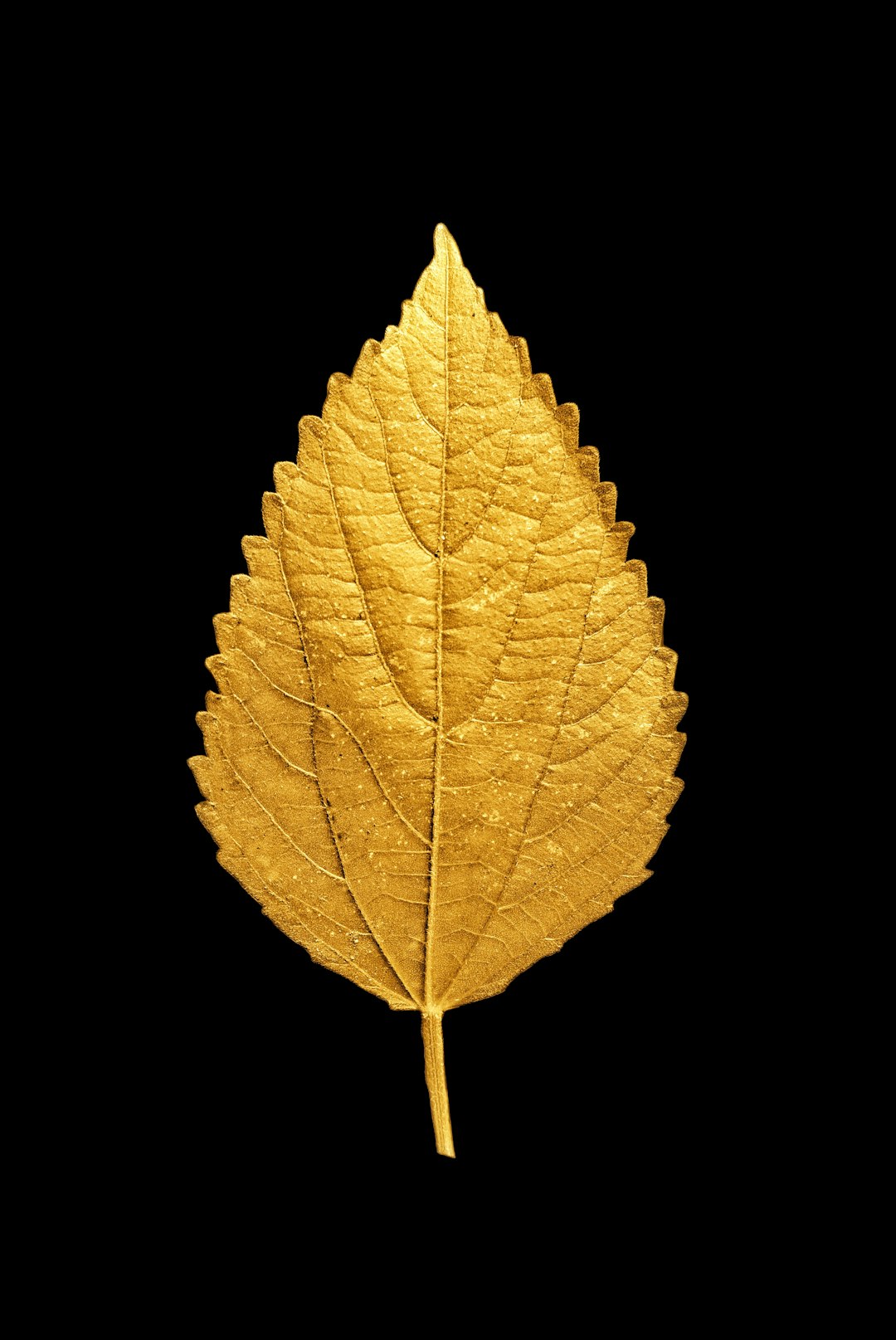 The Role of Gold Leaf (image credits: unsplash)