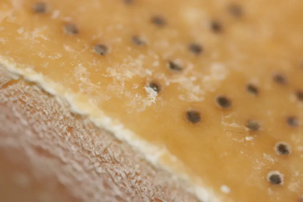 Parmesan Rinds (Image Credits: Flickr)