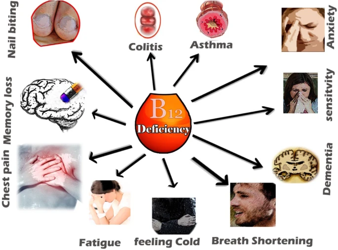 The Surprising Truth About B12 Deficiency (image credits: wikimedia)