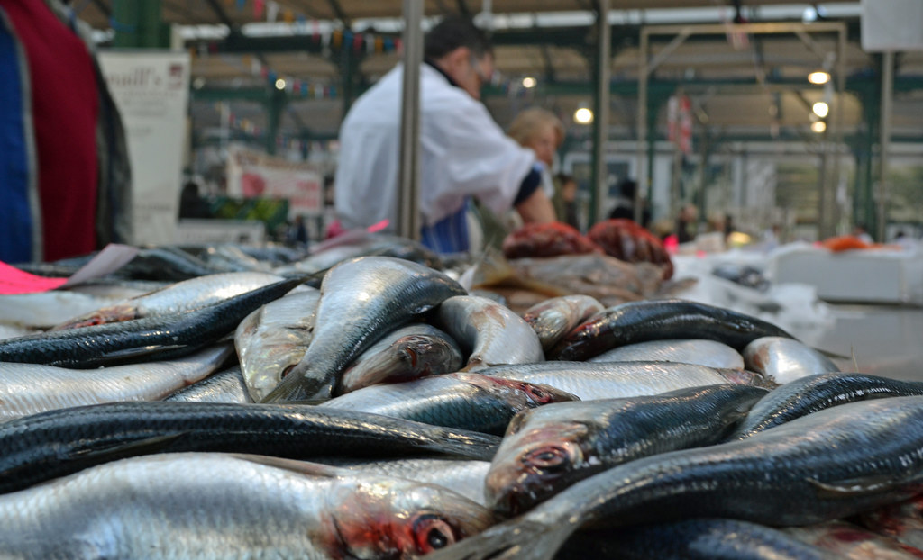 Herring - The Underappreciated Omega-3 Champion (image credits: flickr)