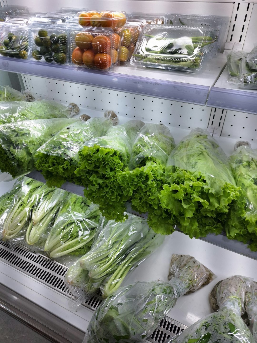 Storage and Shelf Life Benefits (image credits: unsplash)