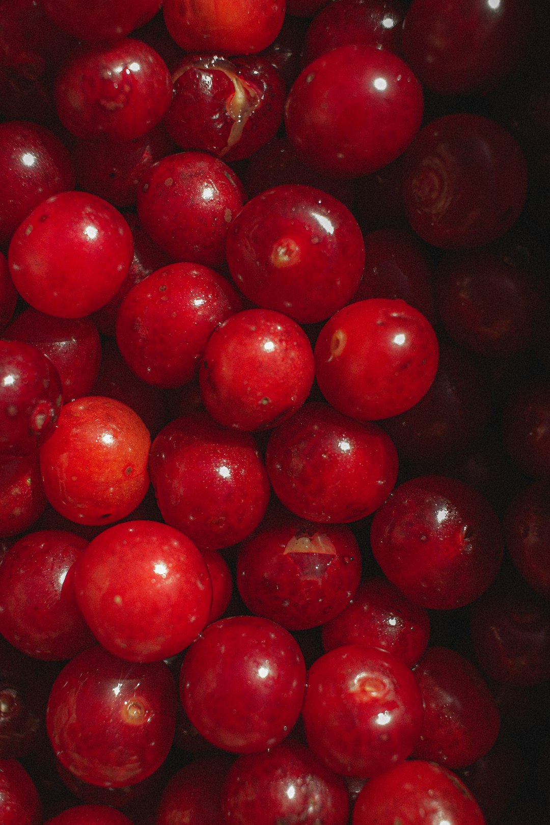 Cranberries: The Infection Fighter (image credits: unsplash)