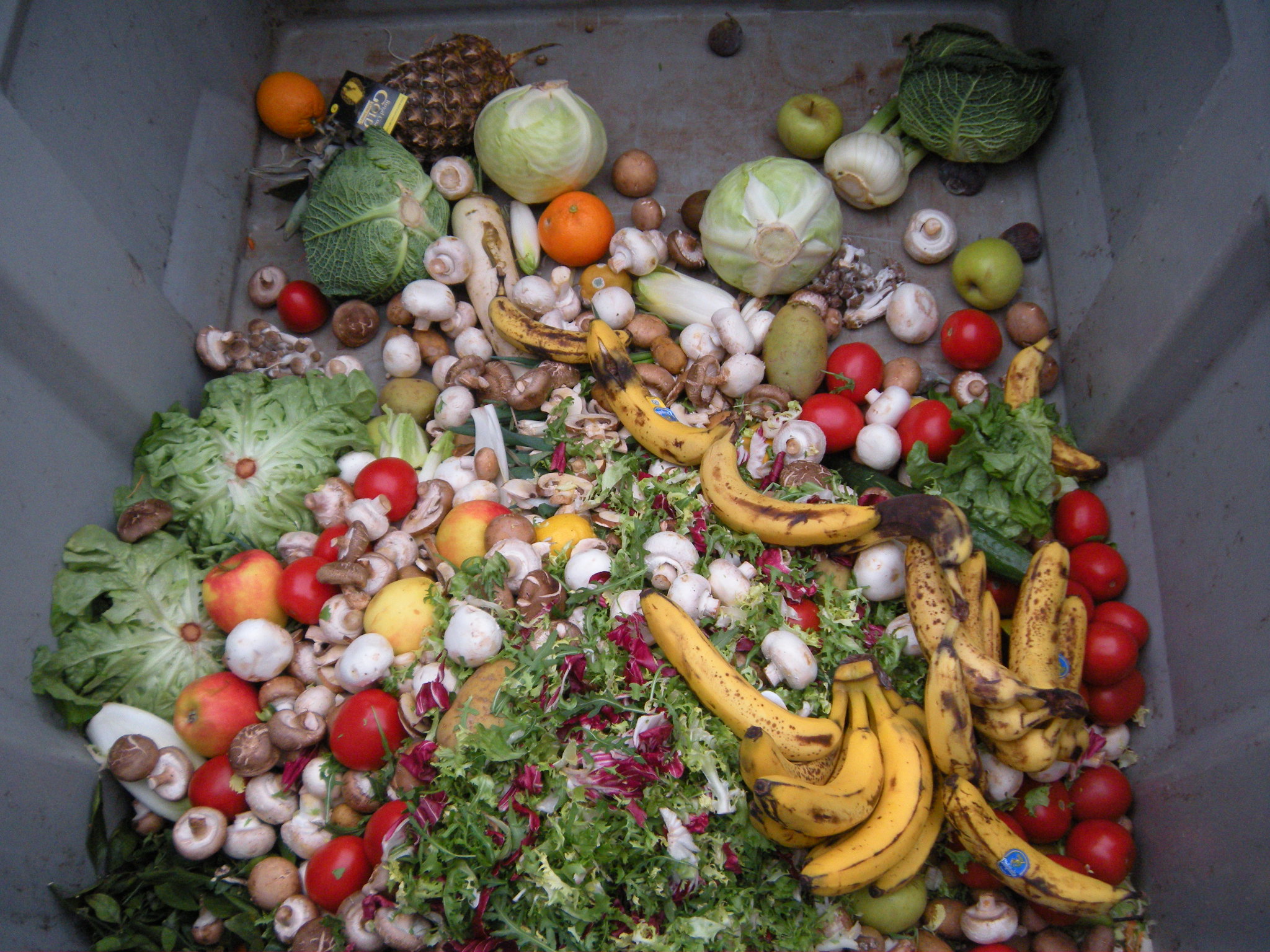 Lack of Food Waste Awareness and Tracking (Image Credits: Wikimedia)