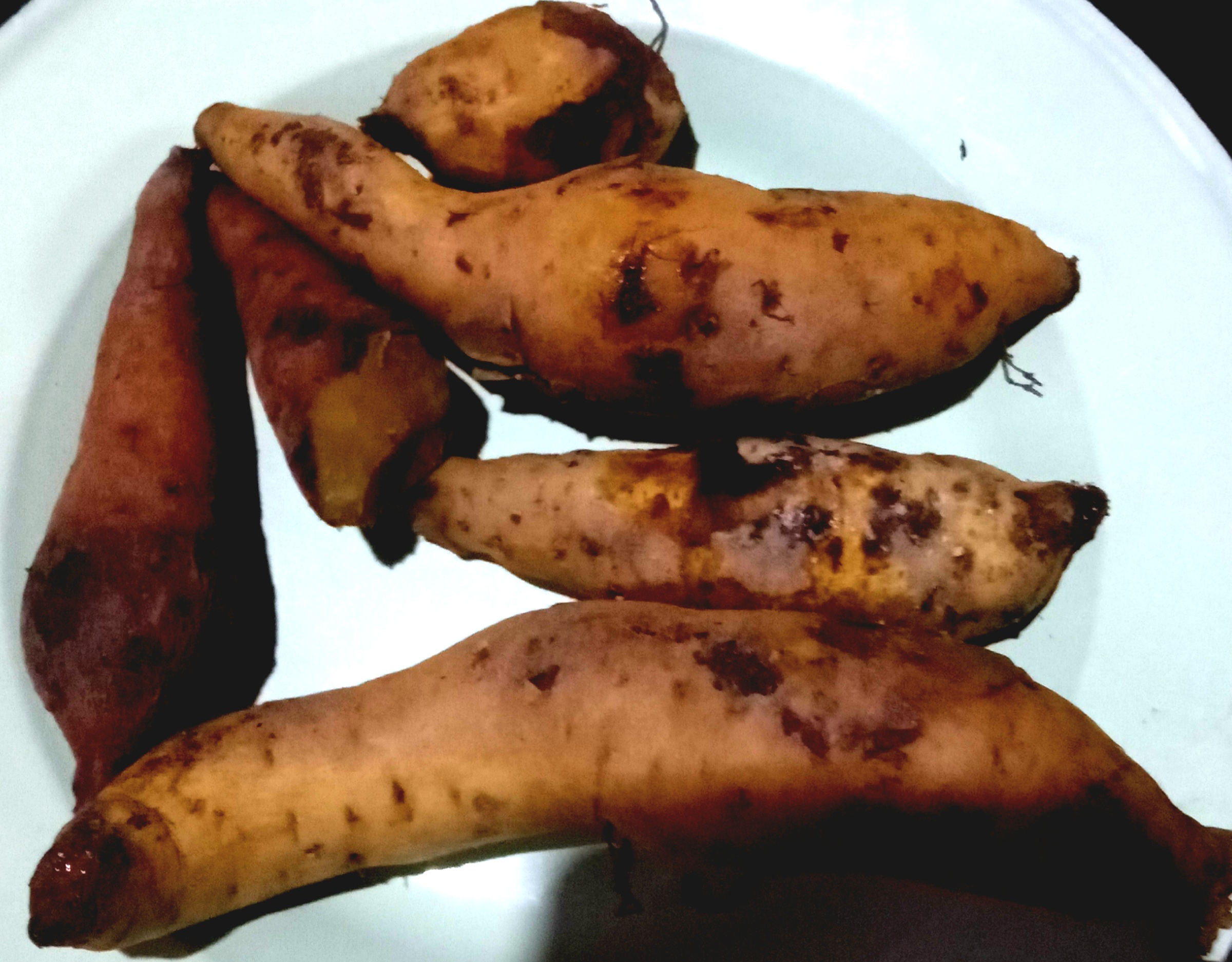 Sweet Potatoes: The Comforting Cardioprotective (image credits: wikimedia)