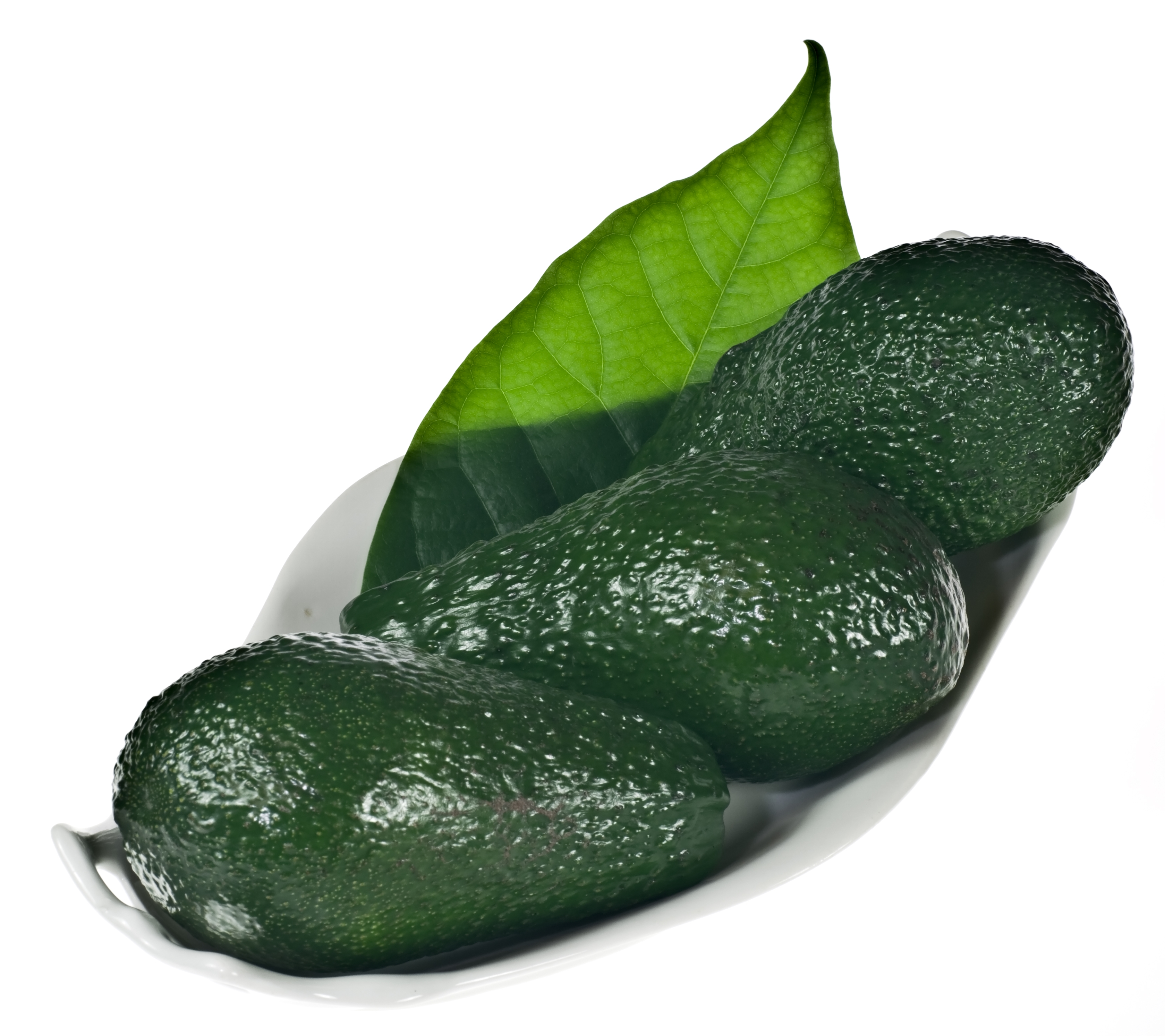 Avocado: The Healthy Fat Fruit (image credits: wikimedia)