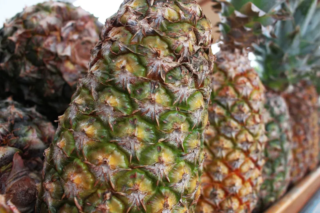 5. Pineapple (GI: ~59–66) (Image Credits: Unsplash)