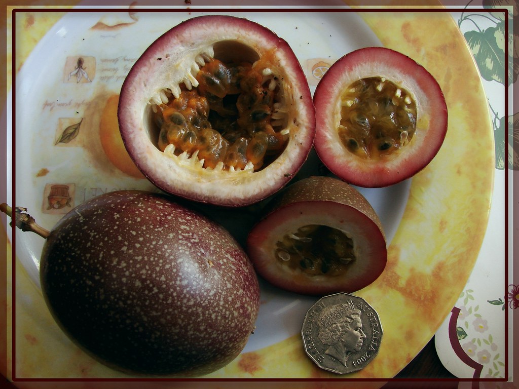 Passion Fruit: The Wrinkled Wonder With Surprising Power (image credits: flickr)