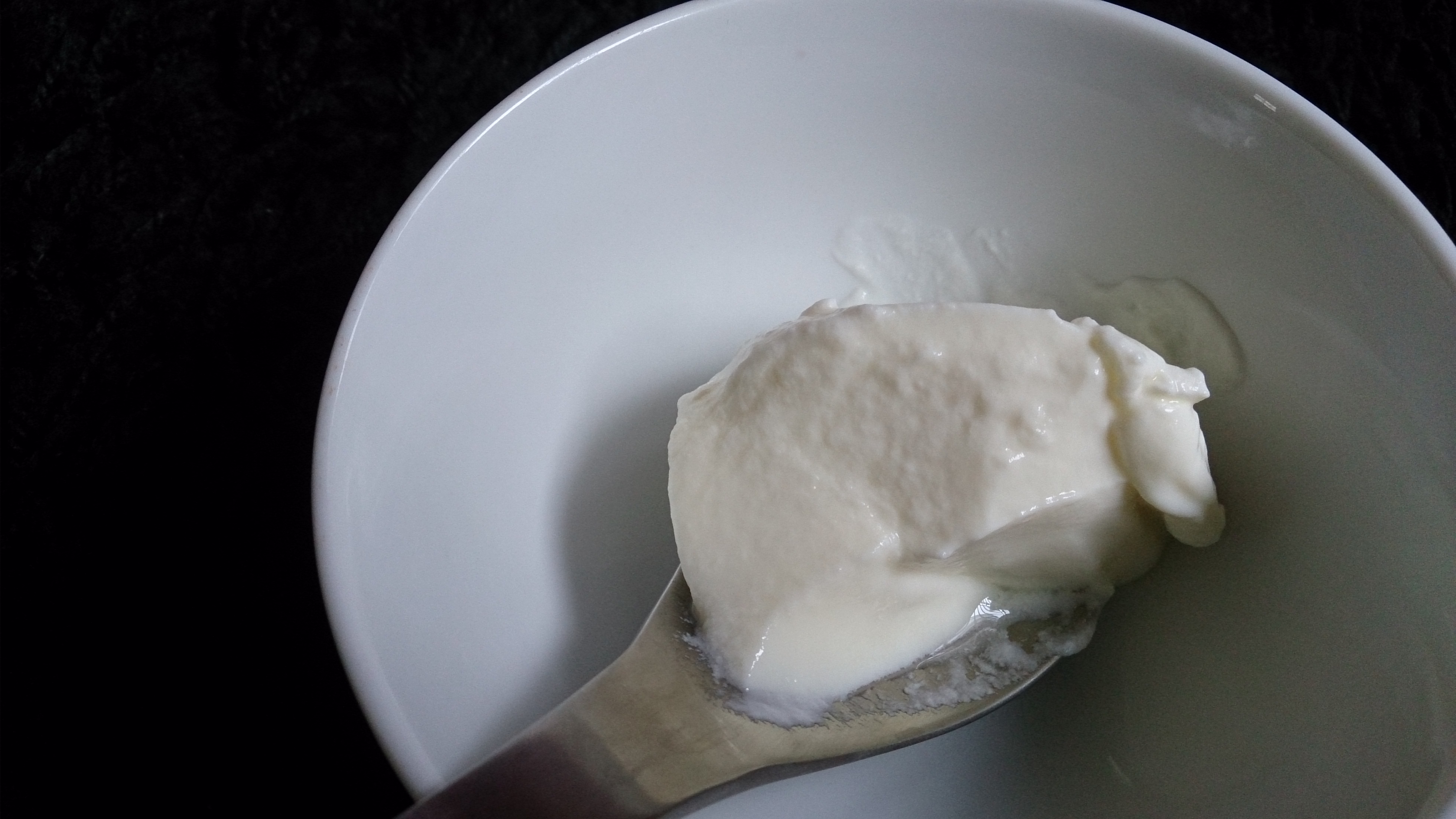 Greek Yogurt: Creamy and Satisfying (image credits: wikimedia)