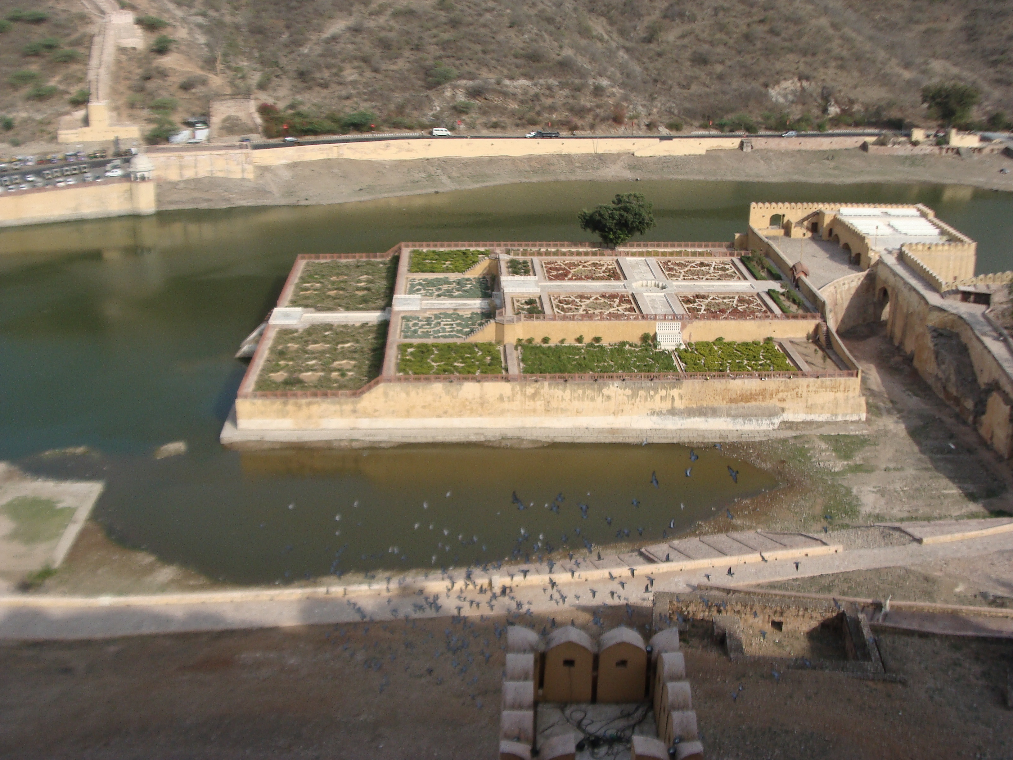 The Future of Saffron (image credits: wikimedia)