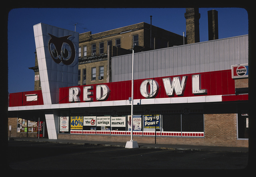Red Owl: The Midwest's Forgotten Friend (Image Credits: Flickr)