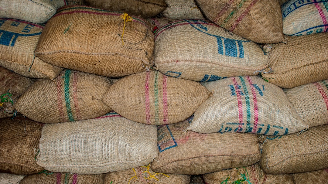 Bulk Buying and Storage Solutions (image credits: unsplash)