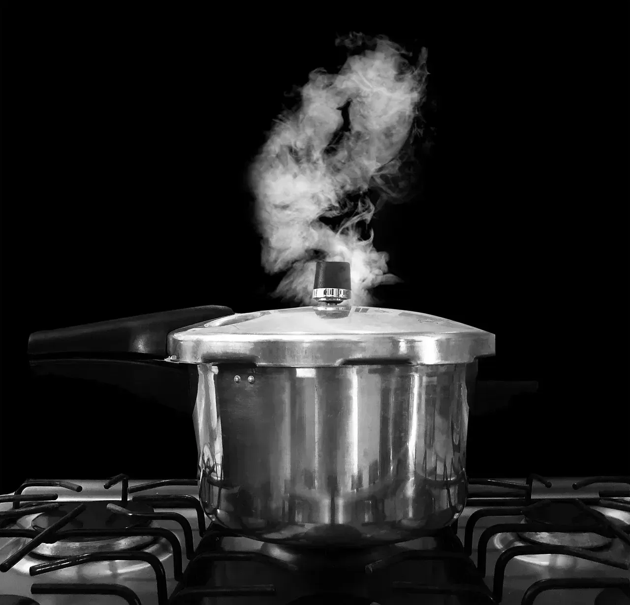 11. The Pressure Cooker (Image Credits: Pixabay)