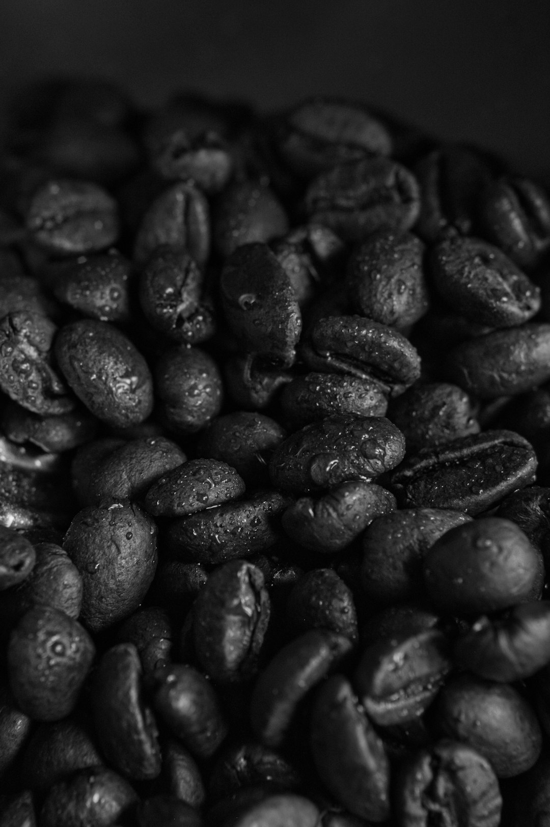 Black Beans Become Blood Sugar Regulators (image credits: unsplash)