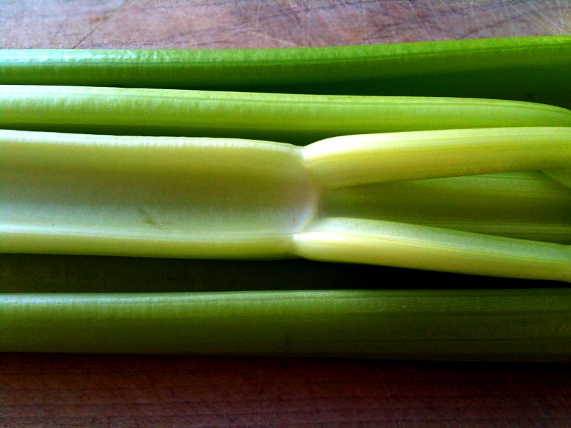 Celery: The Wilting Warriors (image credits: flickr)