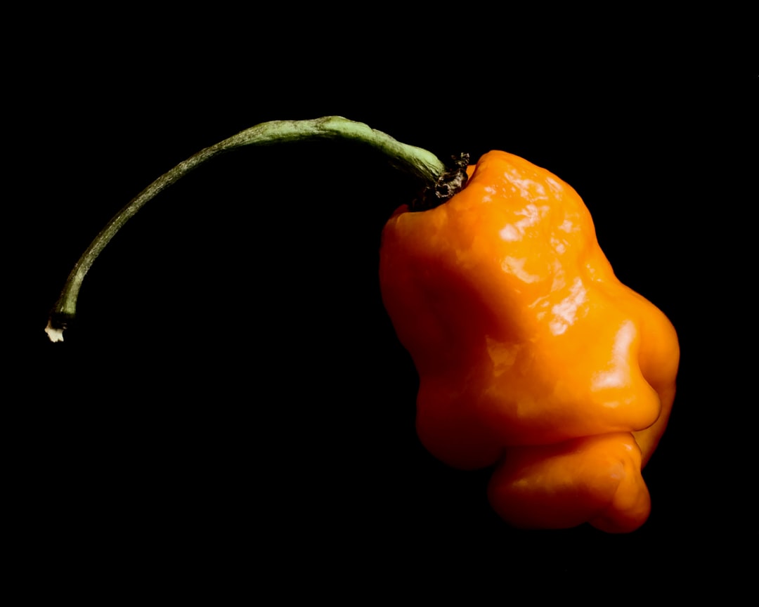 6. Habanero - The Gateway to Extreme Heat (image credits: unsplash)