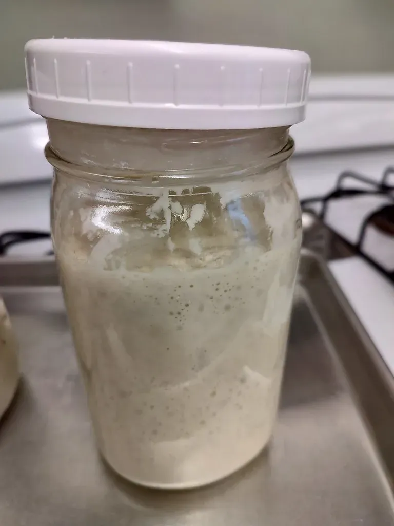 Looking Forward While Feeding Backward (Image Credits: Flickr)