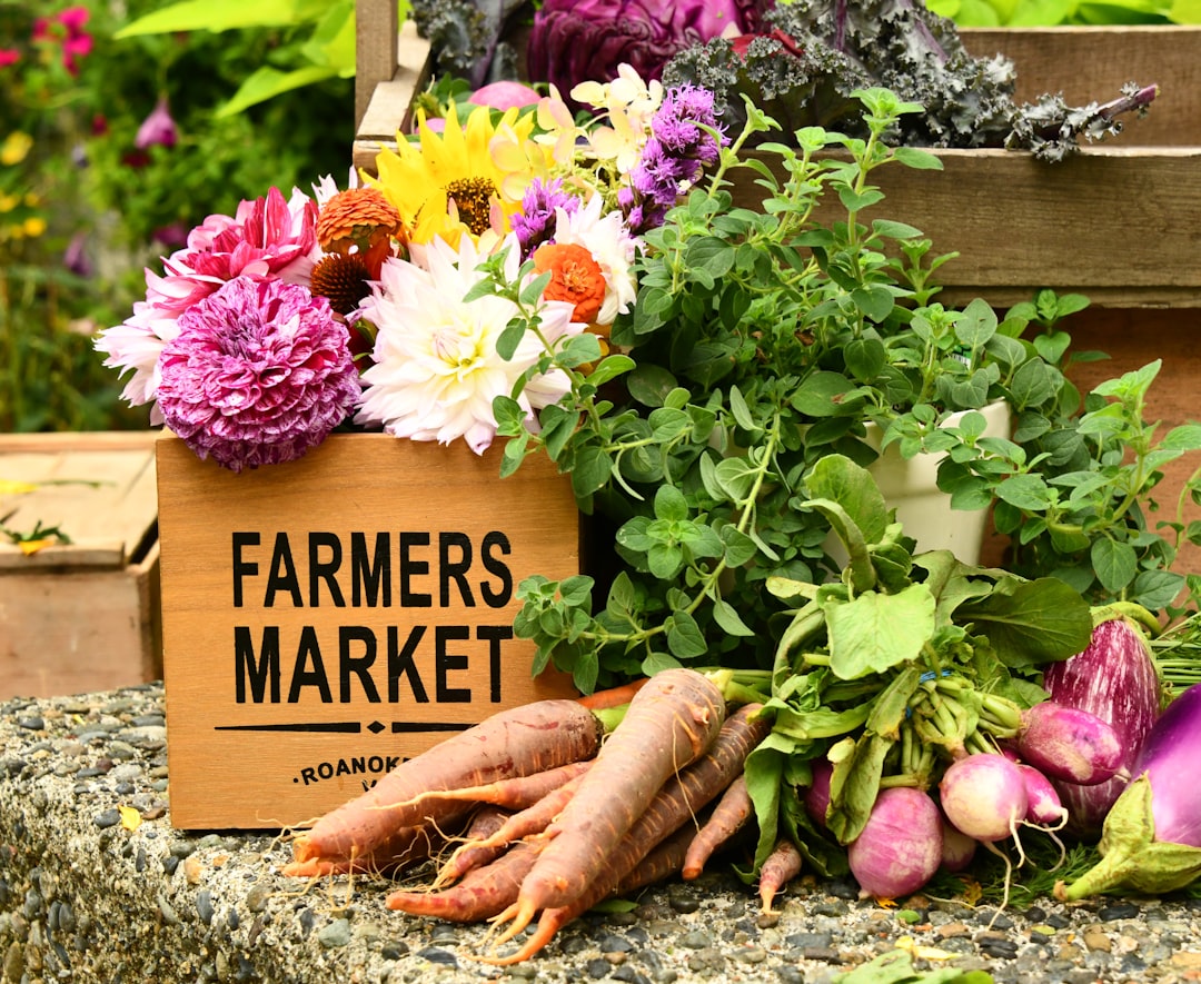 Growth of Farmers Markets (image credits: unsplash)