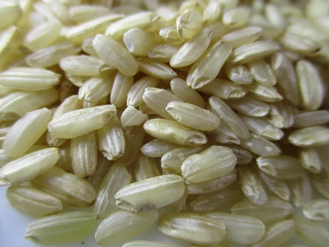 5. Brown Rice: Not the Long-Lasting Grain You Think It Is (Image Credits: Pixabay)