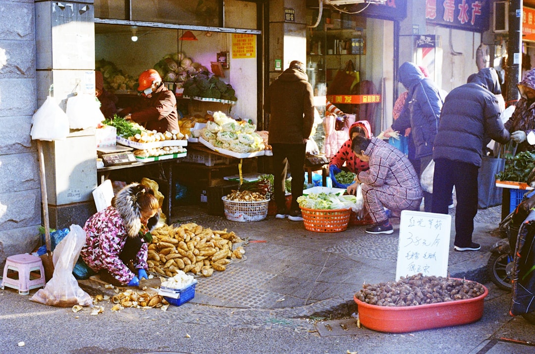 The Global Influence of Chinese Street Food (image credits: unsplash)