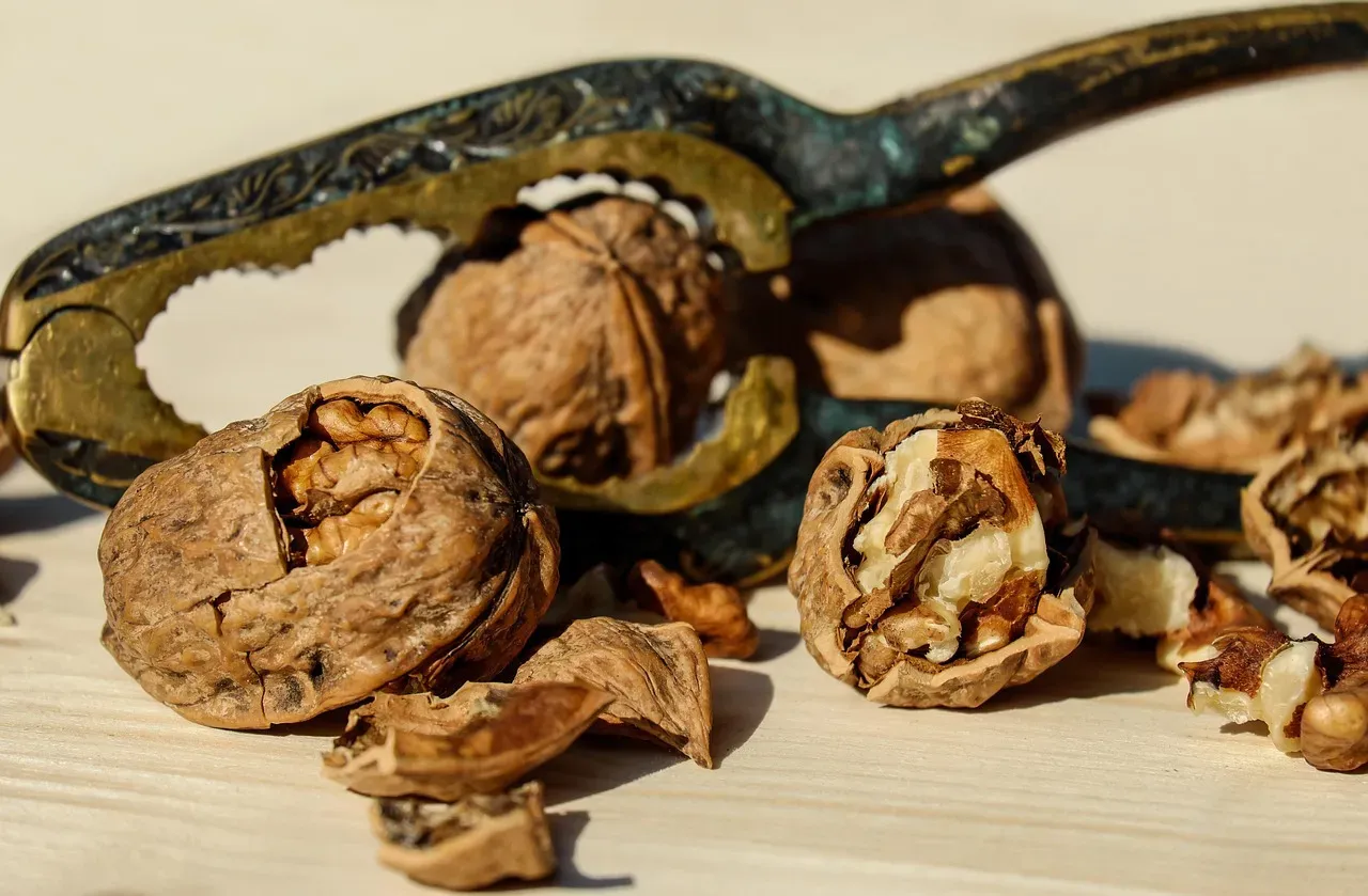 4. Nuts Go Rancid Before You Realize It (Image Credits: Pixabay)