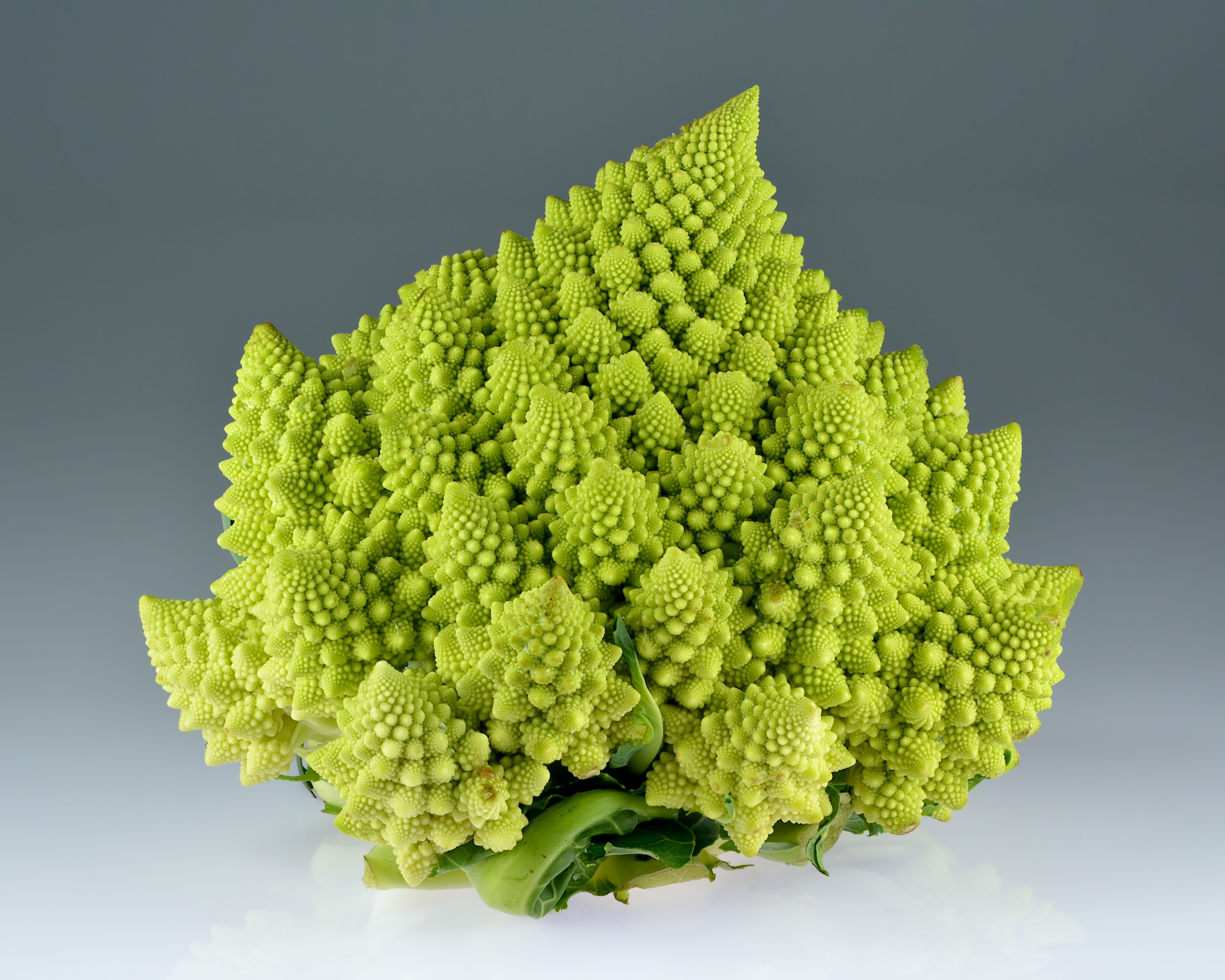 Romanesco: The Fractal Vegetable with Unique Nutrients (image credits: wikimedia)