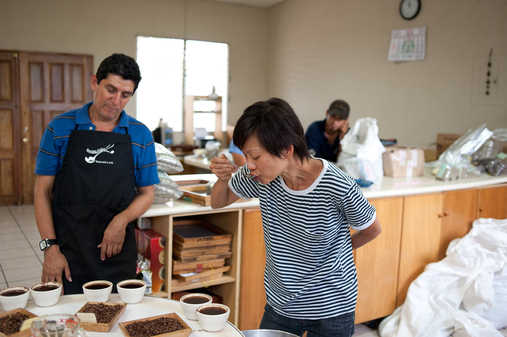 The Timing of Your Taste Buds (image credits: flickr)