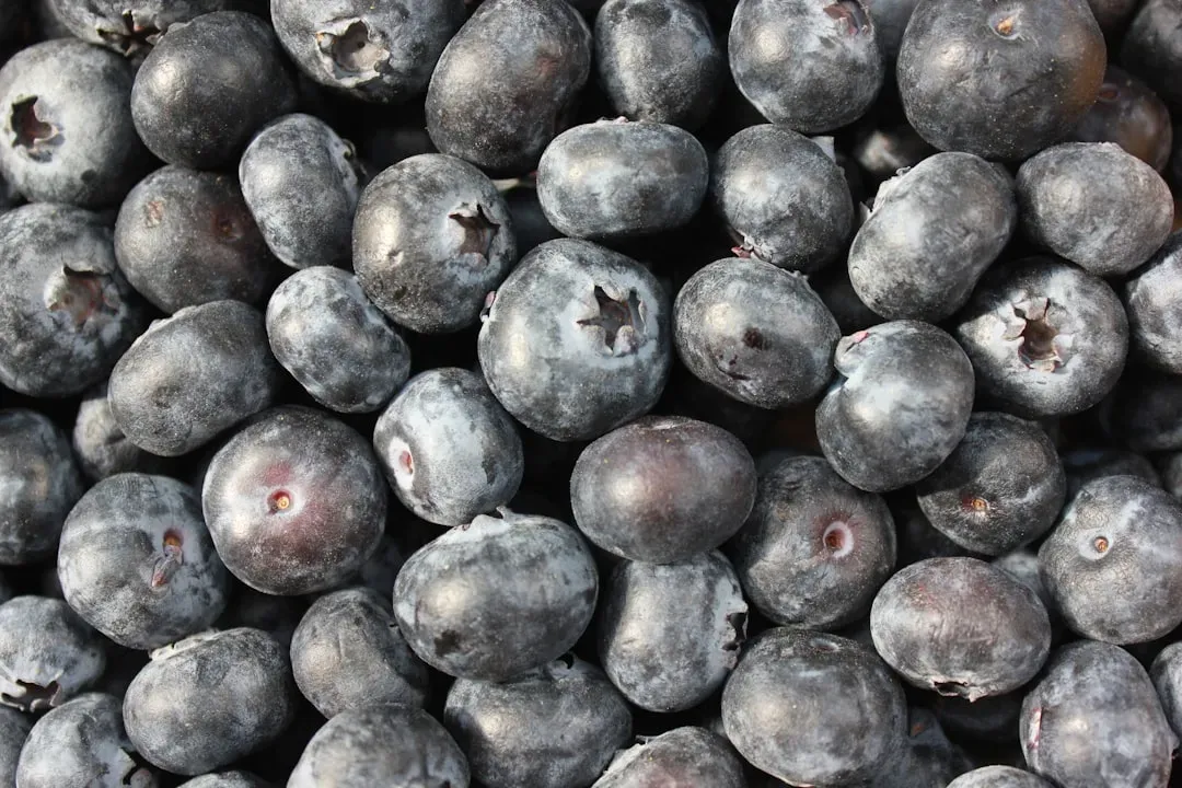 Blueberries Are Impressive - But They're Not the Whole Story (Image Credits: Unsplash)