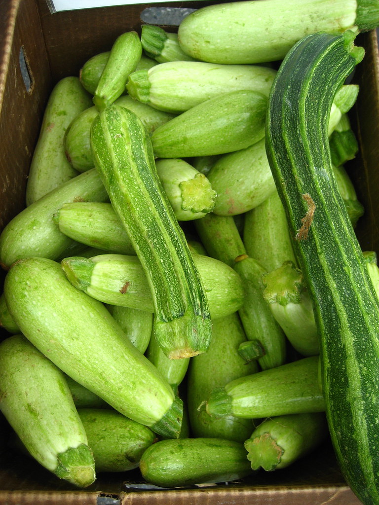 Zucchini: The Mild-Mannered Kidney Supporter at 95% Water (image credits: flickr)