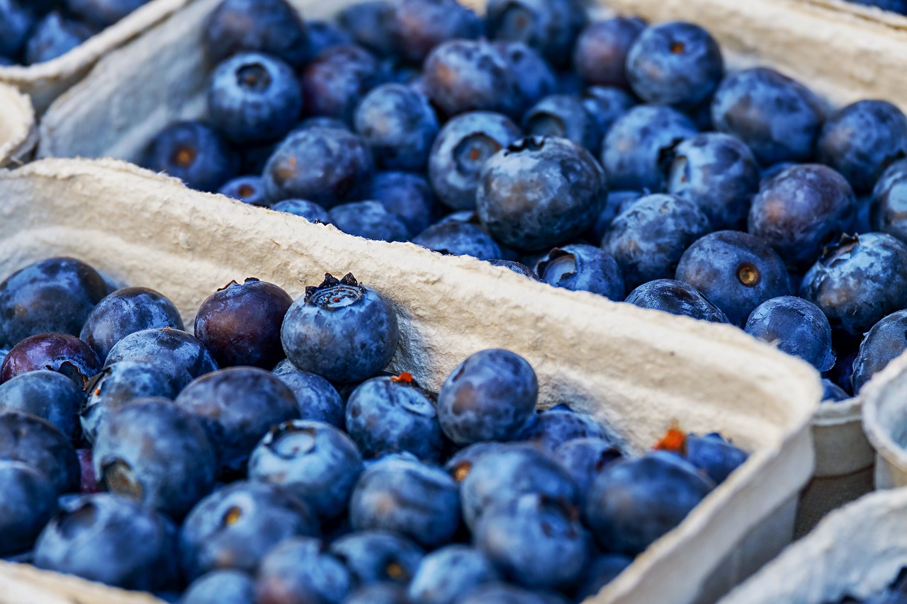 Blueberries: Small but Mighty Sweetness Fighters (image credits: pixabay)