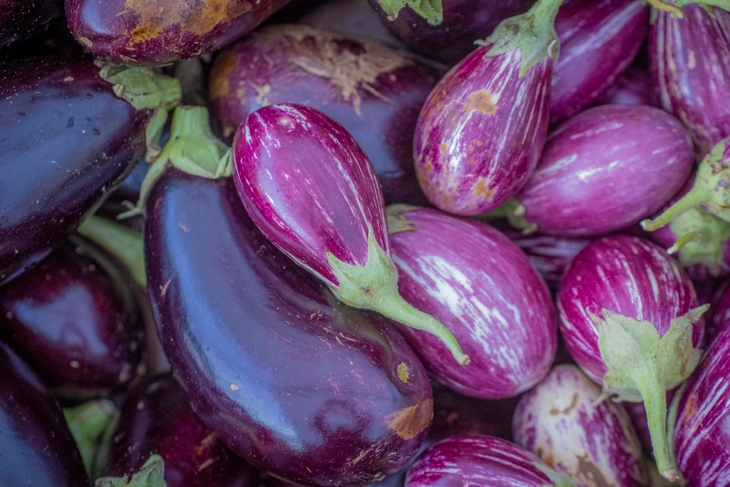 Eggplant Skin's Purple Power (image credits: rawpixel)