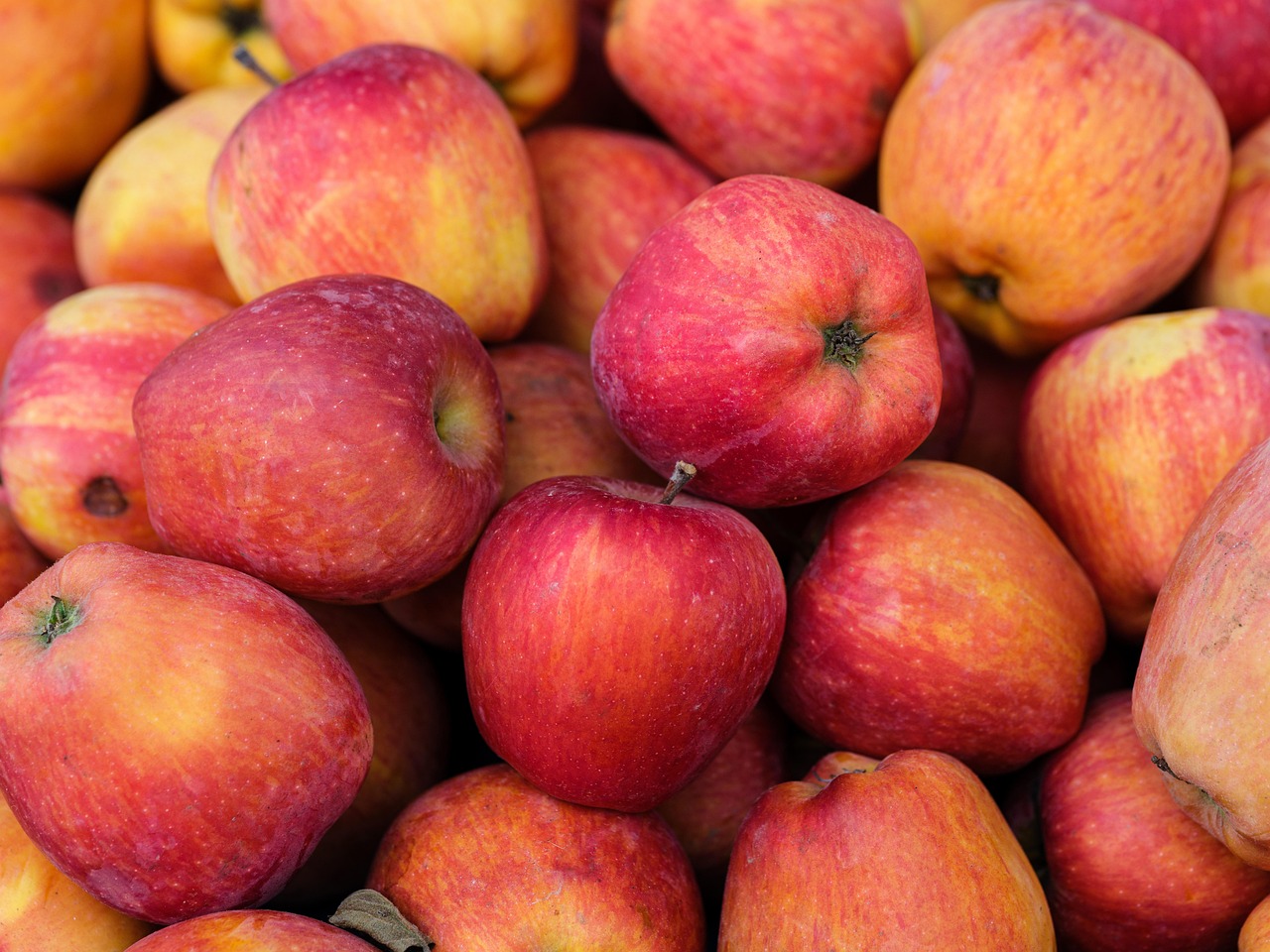 Embrace Seasonal Ingredients (image credits: pixabay)