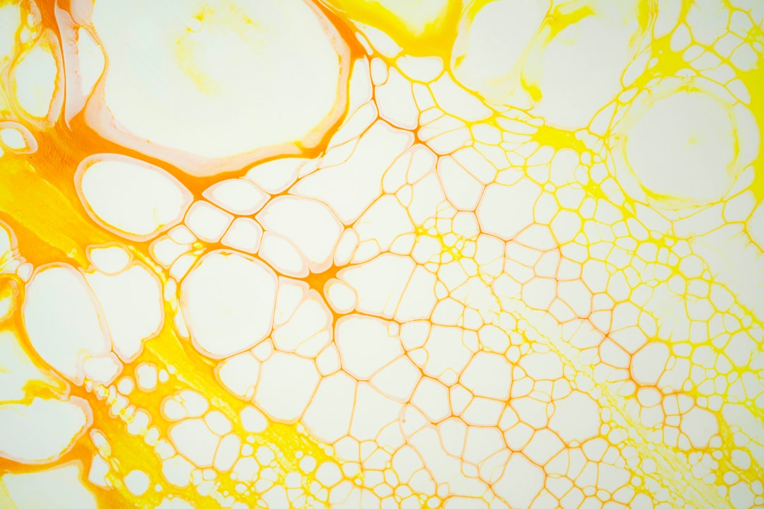 The Science Behind Oil-Induced Aging (image credits: unsplash)
