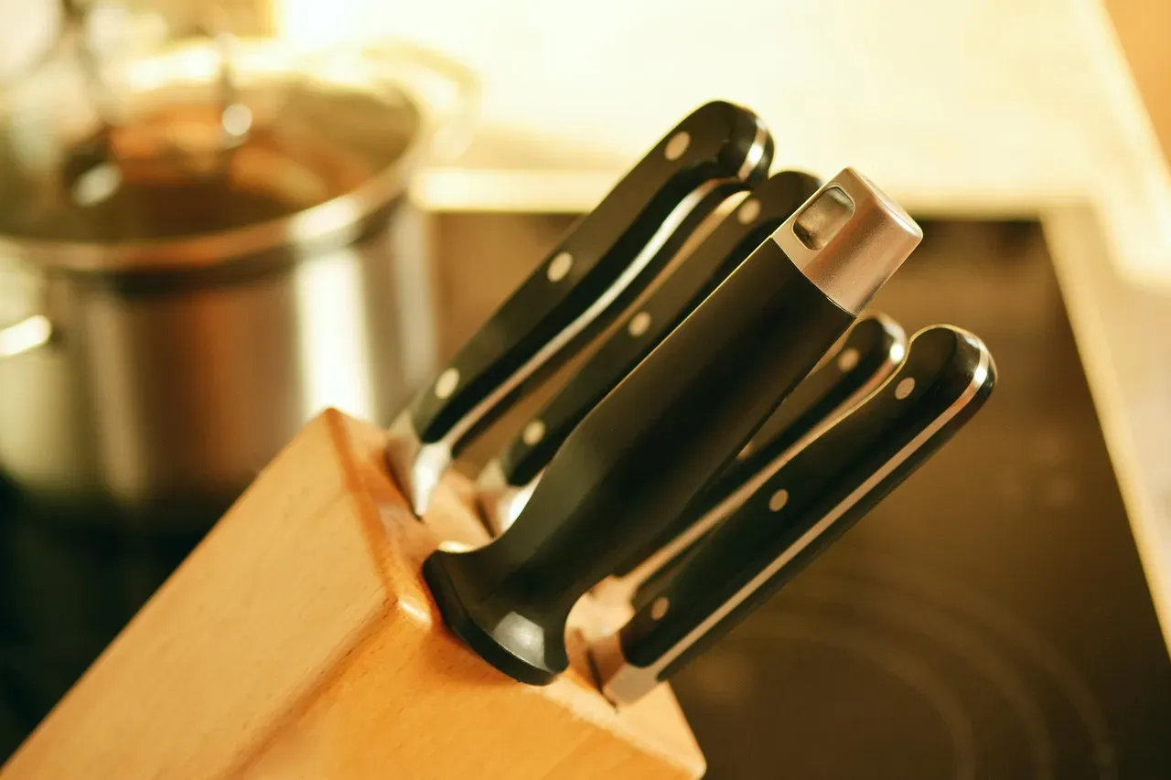 8. Oversized Knife Block Sets with Blades You Never Use (Image Credits: Pixabay)