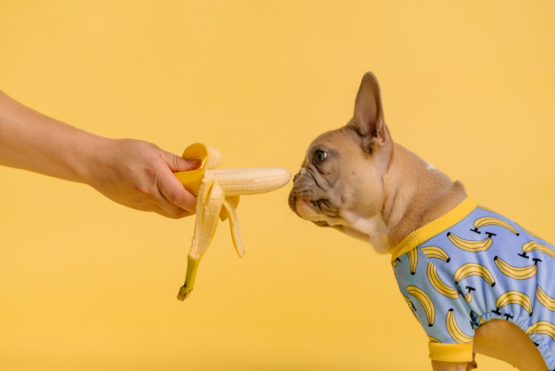 Banana Mania - The Sweet Natural Treat (image credits: unsplash)