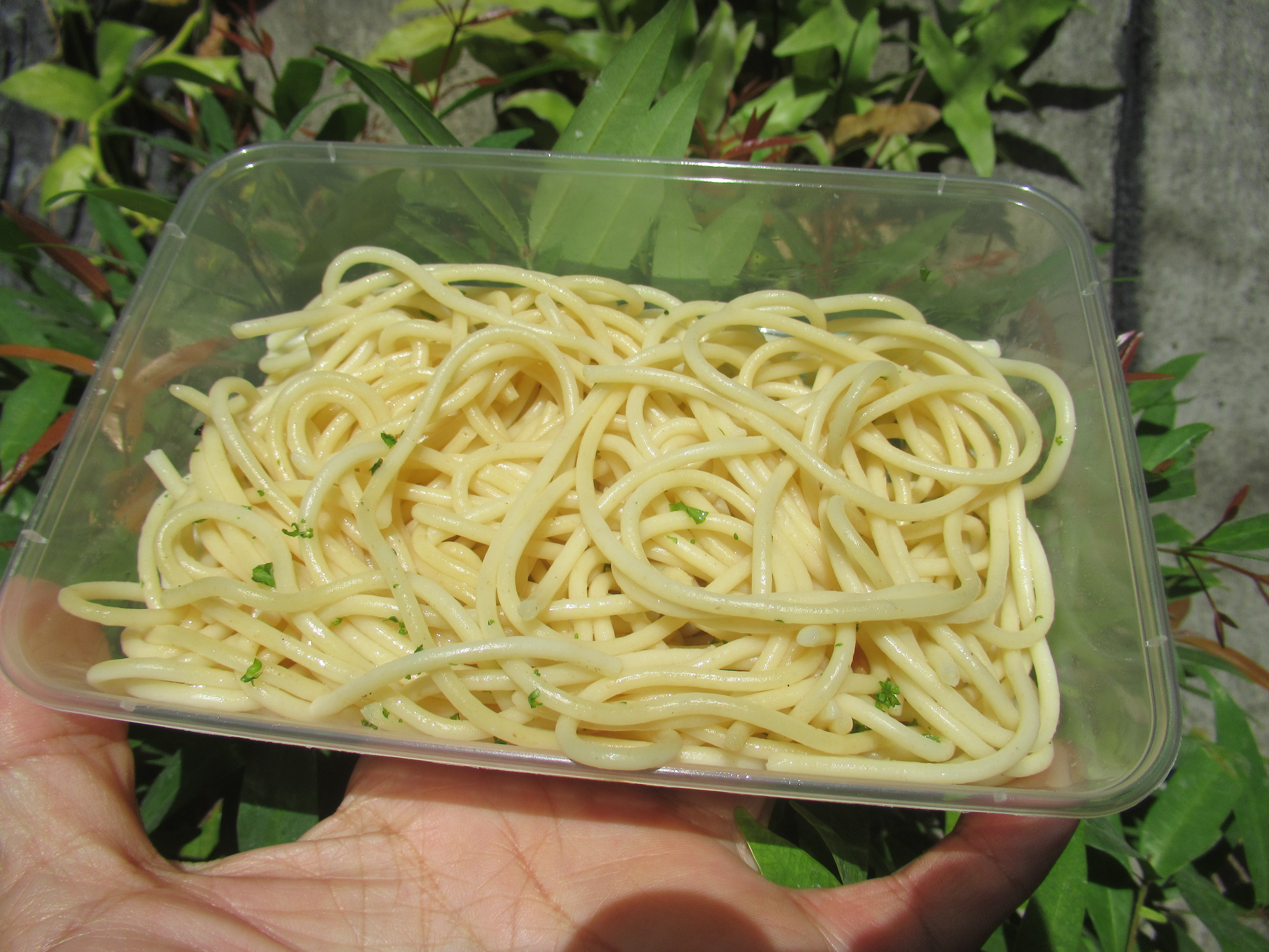 Experimenting with Pasta Dishes (image credits: wikimedia)