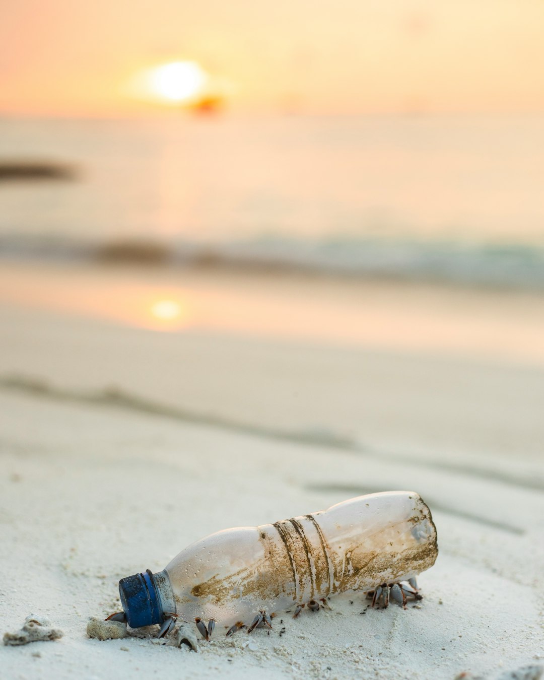 Regulatory Measures and Guidelines (image credits: unsplash)