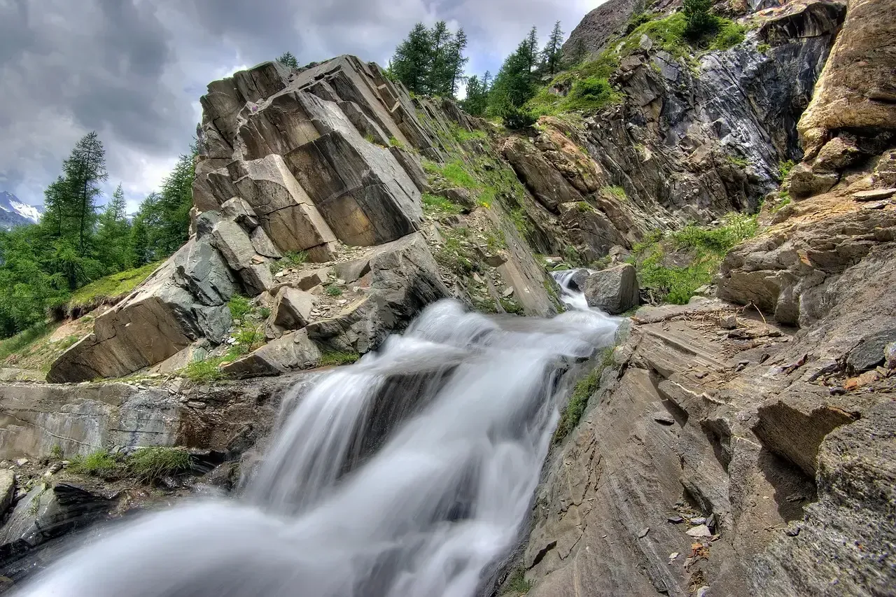 The Environmental Case for Bringing Back Old-School Southern Cooking (Image Credits: Pixabay)