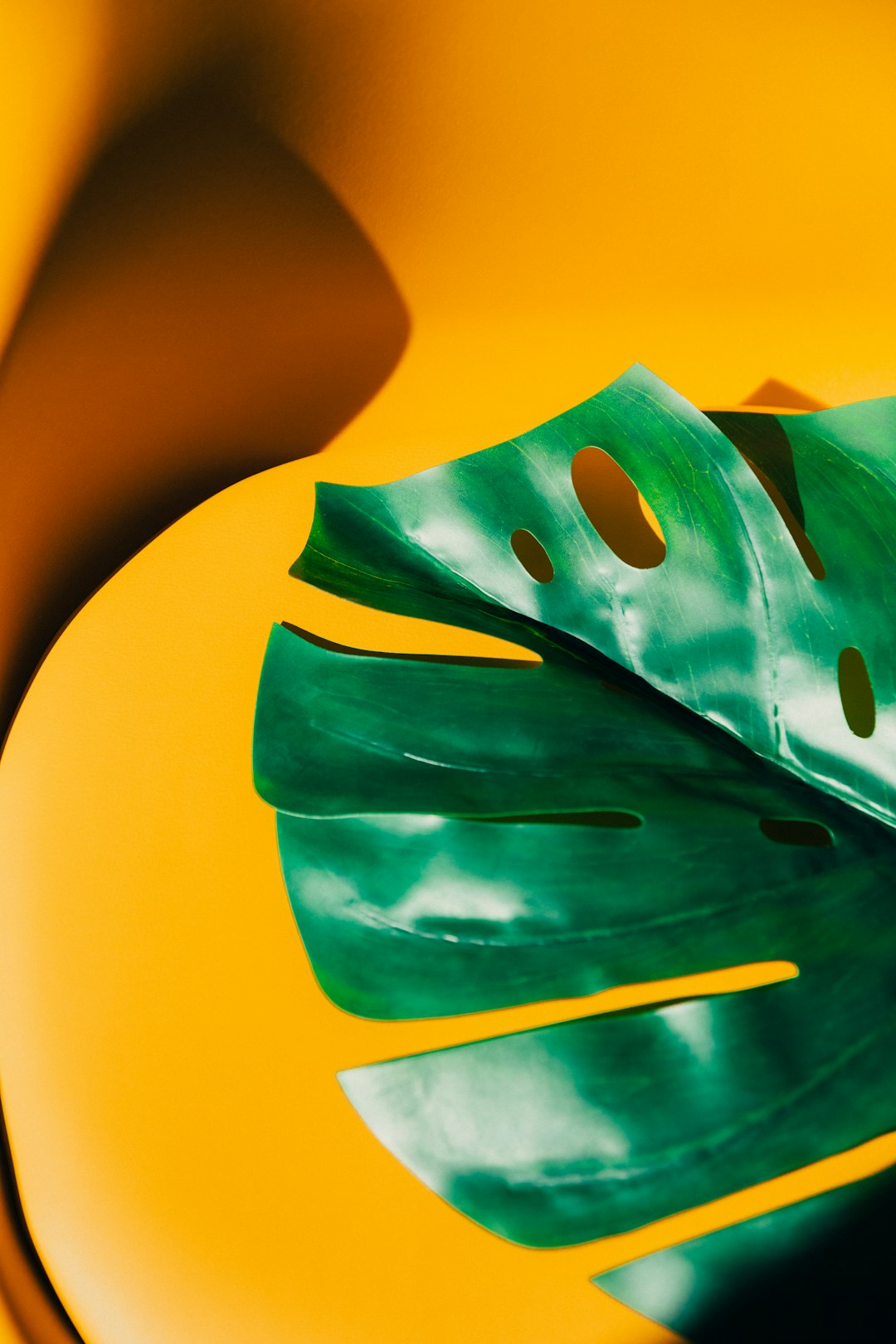 Tyramine: The Stealthy Culprit in Aged Foods (image credits: unsplash)