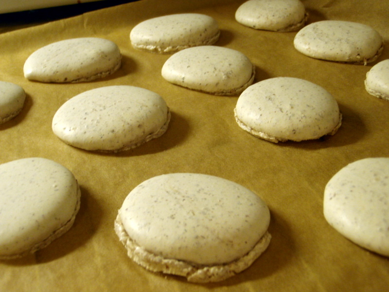 Macarons That Spread Like Pancakes (image credits: wikimedia)