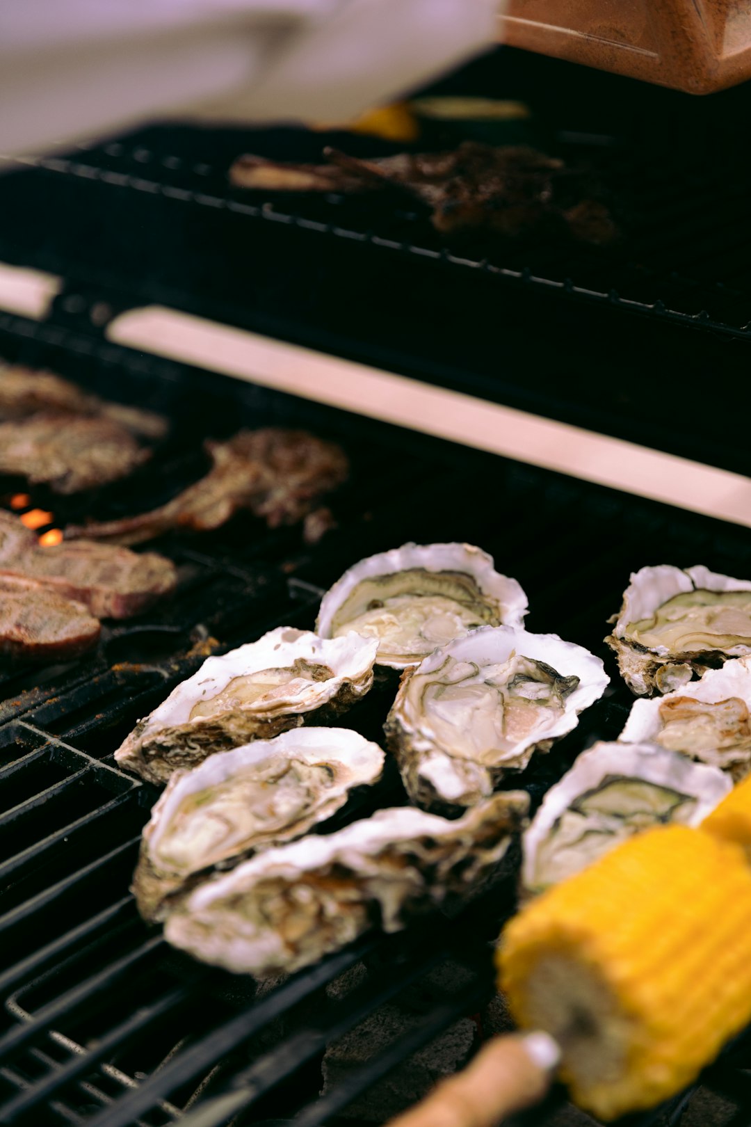 The Oyster Steak - The Spider Web Wonder (image credits: unsplash)