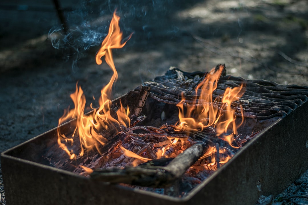 Smoke and Fire: The Art of Grilling (image credits: unsplash)