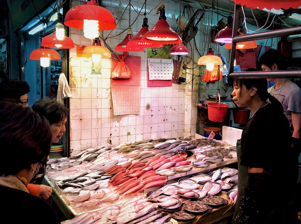 Hong Kong: Urban Sophistication Meets Ancient Fishing Traditions (image credits: flickr)