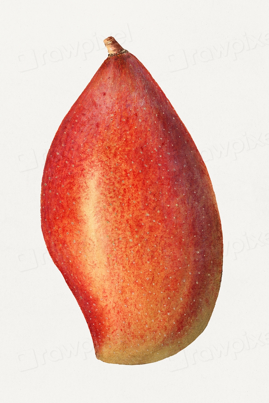 Mango: The Ultimate Glow Fruit (image credits: rawpixel)