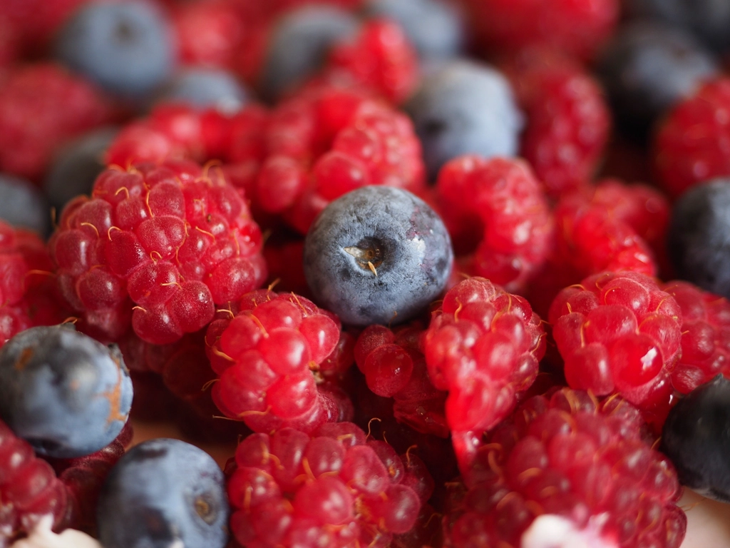 Berries: The Antioxidant Powerhouses (image credits: rawpixel)