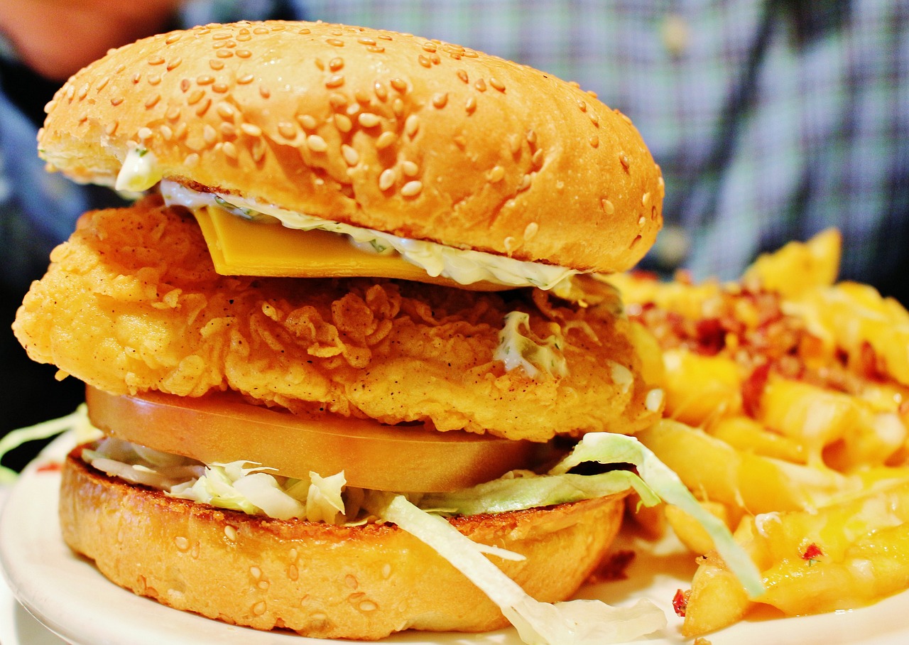 Exploring Beyond Beef: The Rise of Fish Burgers (image credits: pixabay)